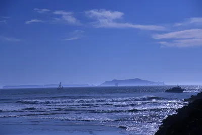 DSC_0866 (Large).JPG